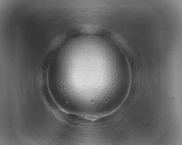 X0000083600738200702091219