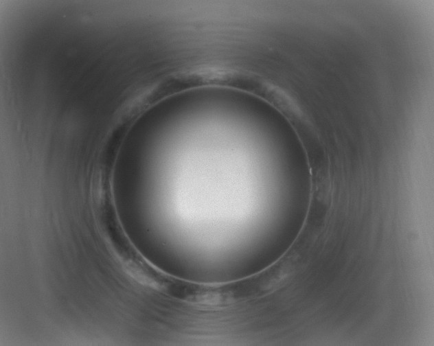 X0000083600740200702091219