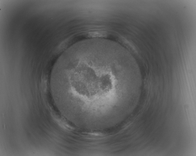 X0000083600741200702091219