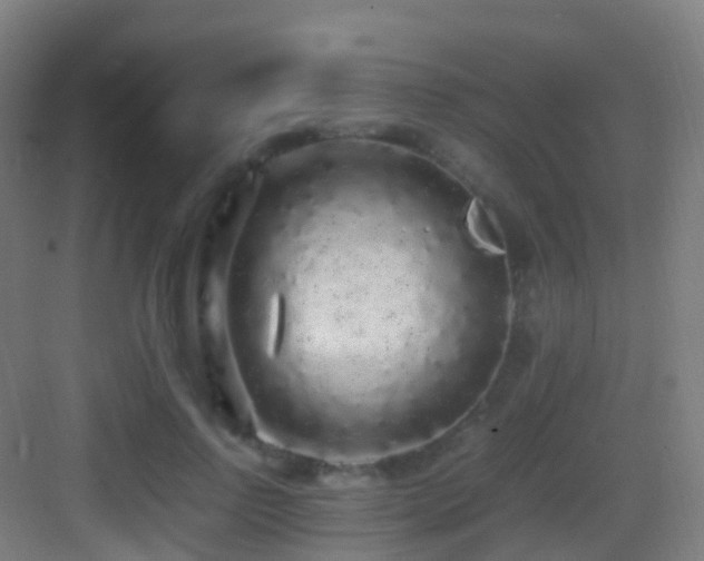 X0000083600742200702091219