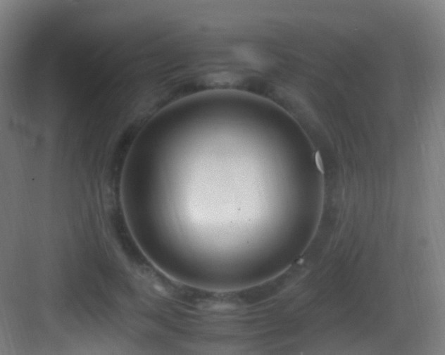 X0000083600743200702091219