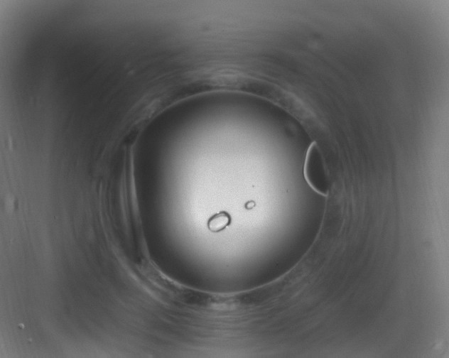 X0000083600744200702091219