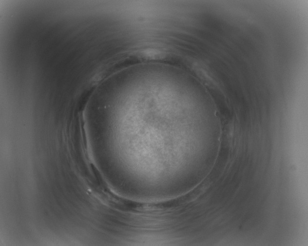 X0000083600746200702091219