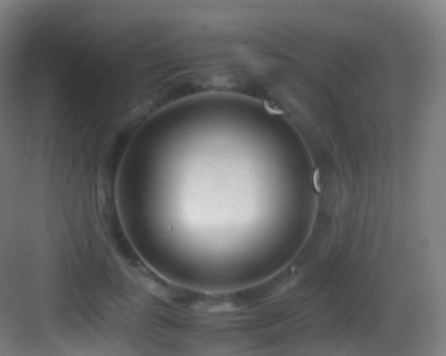 X0000083600747200702091219