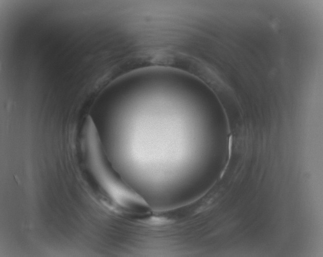 X0000083600748200702091219