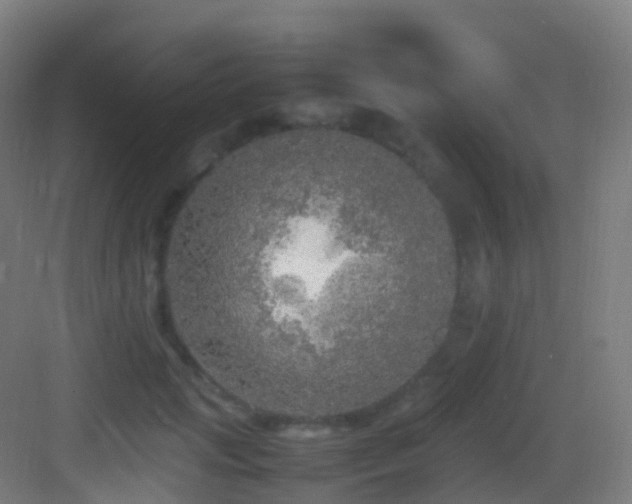 X0000083600749200702091219