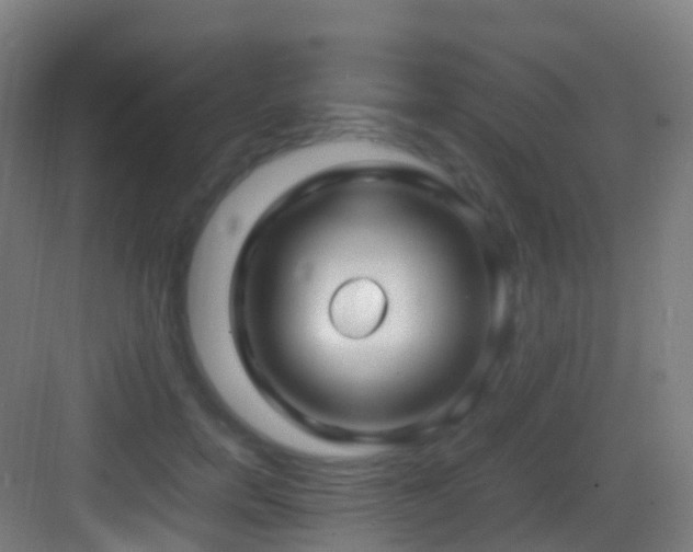 X0000083600750200702091219