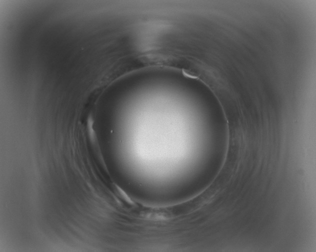 X0000083600751200702091219