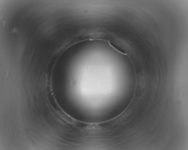 X0000083600752200702091219