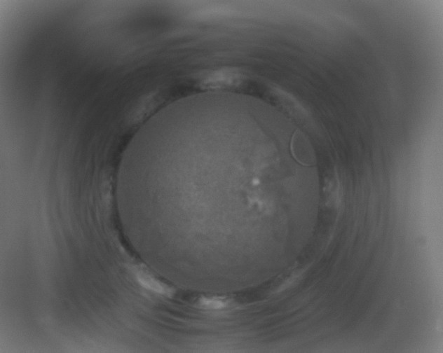 X0000083600753200702091219