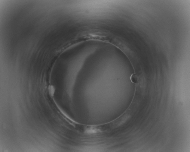 X0000083600754200702091220