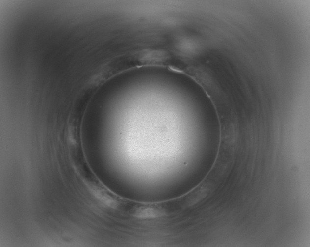 X0000083600755200702091220