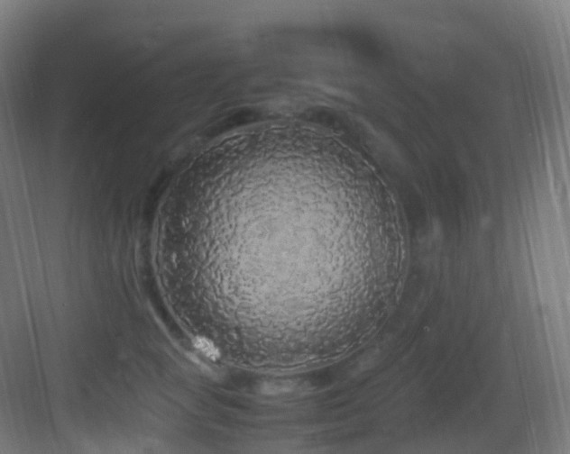 X0000083600757200702091220