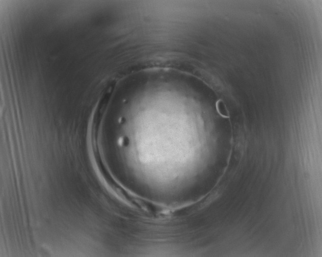 X0000083600758200702091220