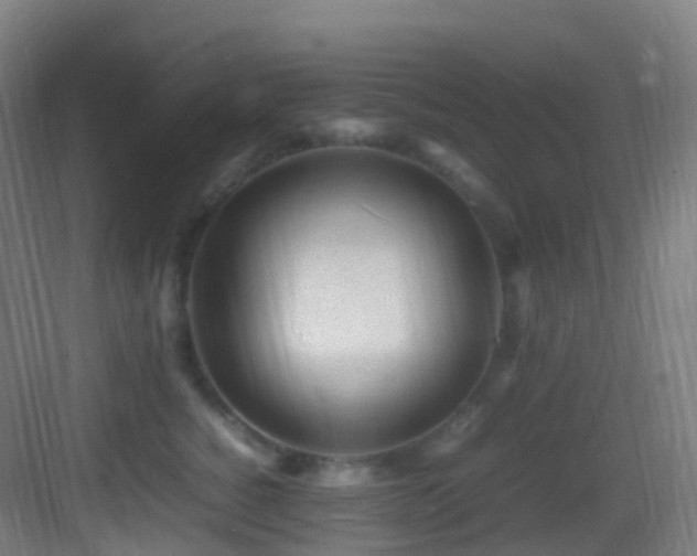 X0000083600760200702091220