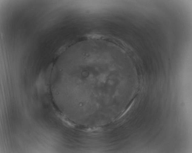 X0000083600761200702091220