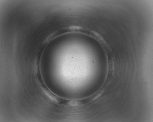 X0000083600762200702091220