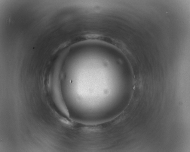 X0000083600763200702091220