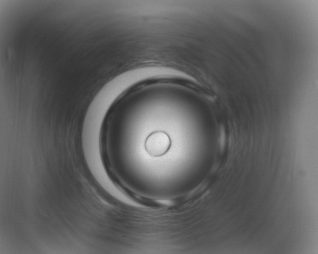 X0000083600764200702091220