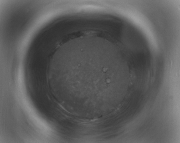 X0000083600765200702091220