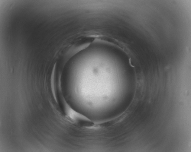 X0000083600767200702091220