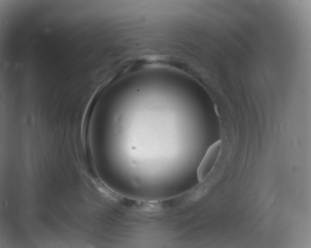 X0000083600768200702091220