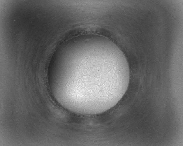 X0000083600769200702091219