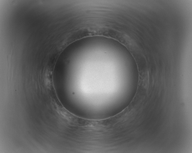 X0000083600770200702091219