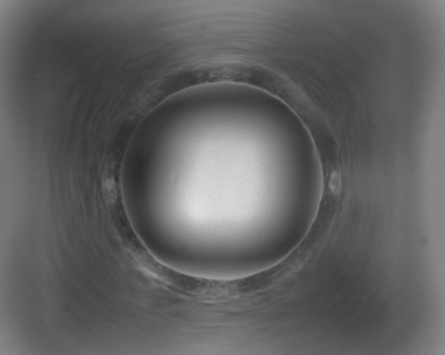 X0000083600771200702091219