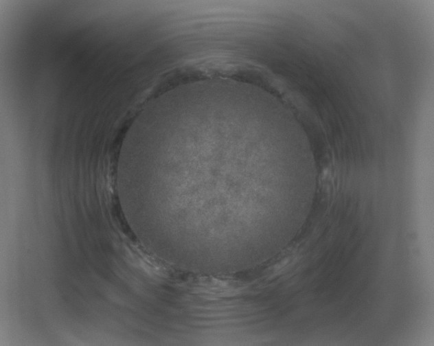 X0000083600772200702091219