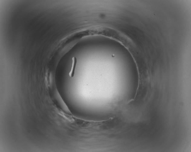 X0000083600773200702091219