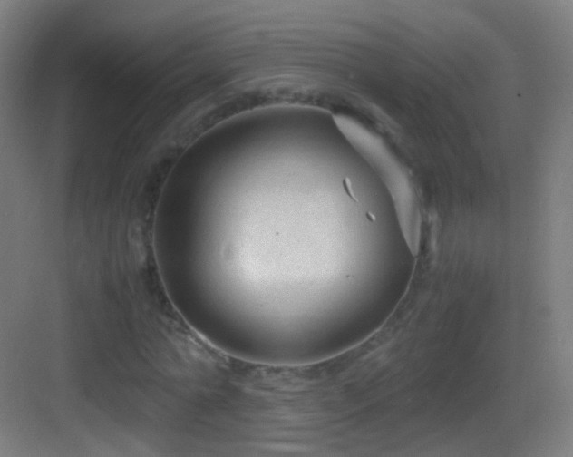 X0000083600774200702091219