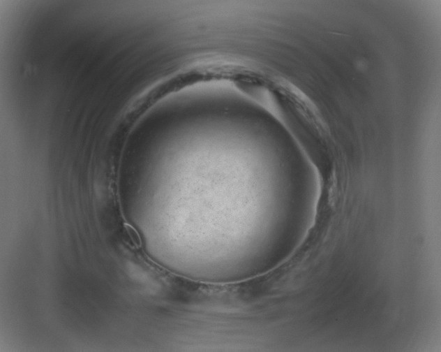 X0000083600775200702091219