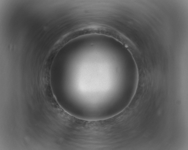 X0000083600776200702091219