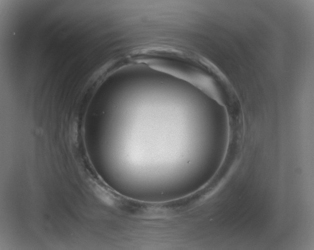 X0000083600777200702091219