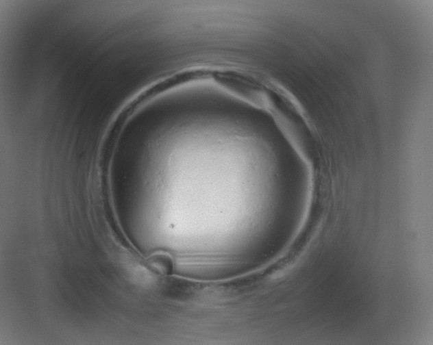 X0000083600779200702091219