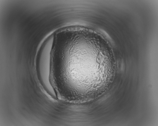 X0000083600780200702091219