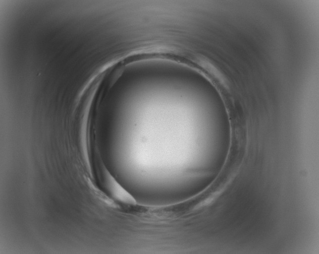 X0000083600781200702091219