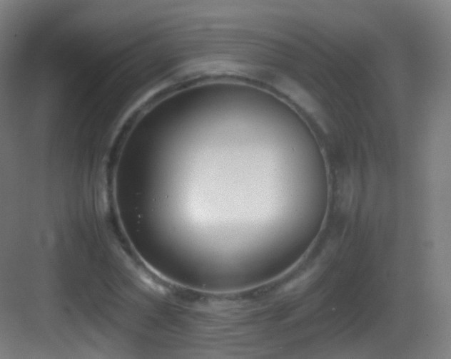 X0000083600782200702091219