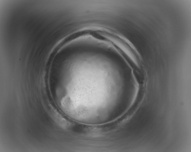 X0000083600783200702091219