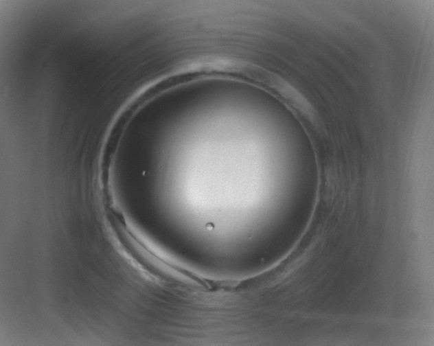 X0000083600784200702091219