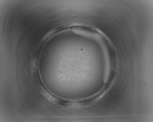 X0000083600785200702091219