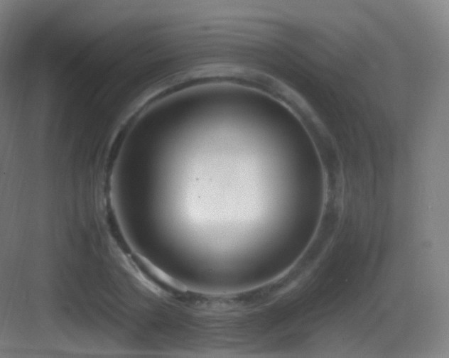 X0000083600786200702091219