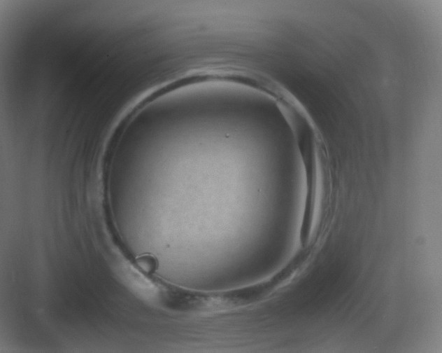 X0000083600787200702091219