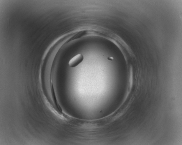 X0000083600788200702091219