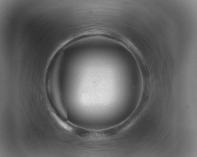 X0000083600789200702091219