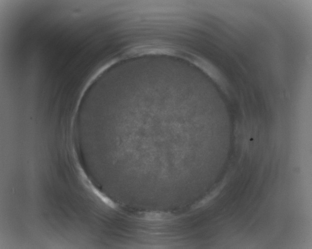 X0000083600790200702091219