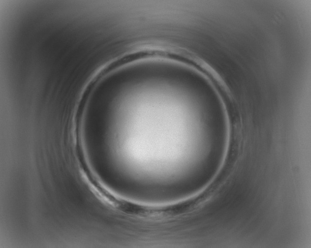 X0000083600791200702091219