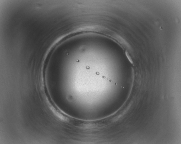 X0000083600792200702091219