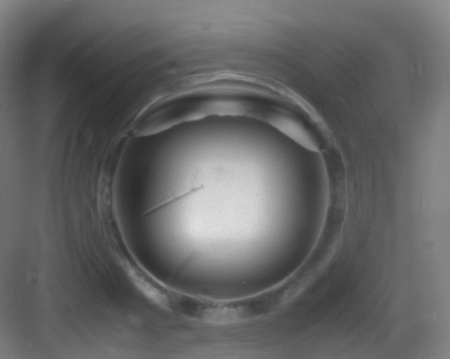 X0000083600793200702091219